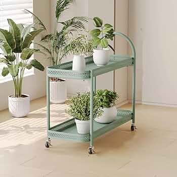 61T9NX3F+uL._AC_UF350,